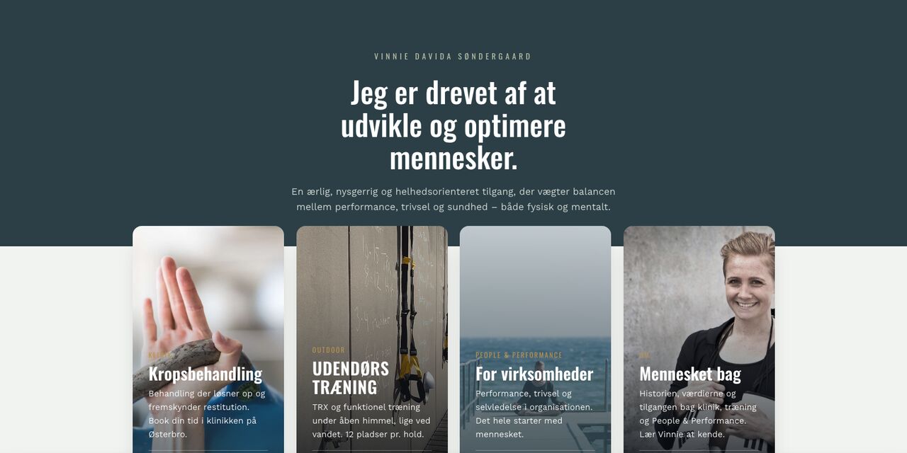 Screenshot of the Vinnie Davida Søndergaard website